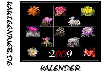 Kakteen Kalender 2009