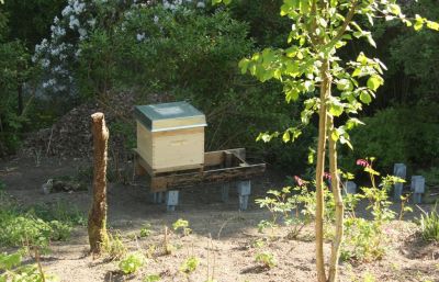 Erstes Bienenvolk im Garten