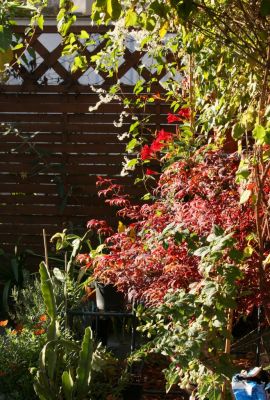 Herbstlicher Sitzplatz