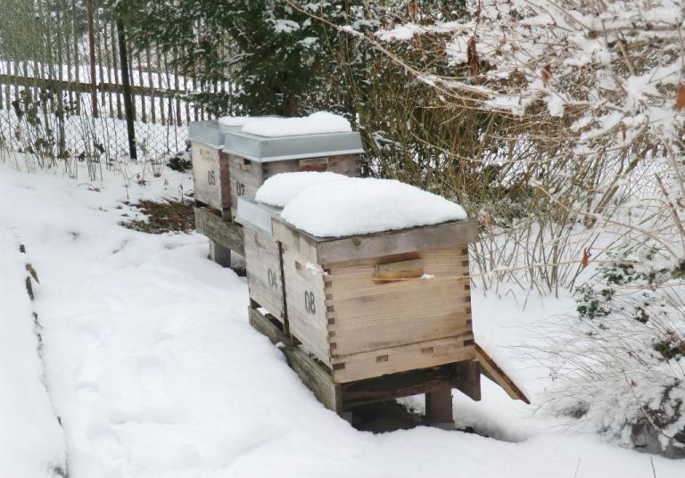 Ein Besuch im Garten » Majas Pflanzenblog