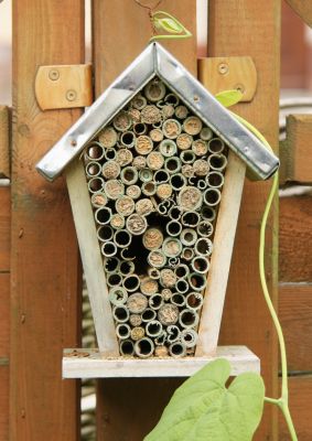 Insektenhotel mit Röhrchen