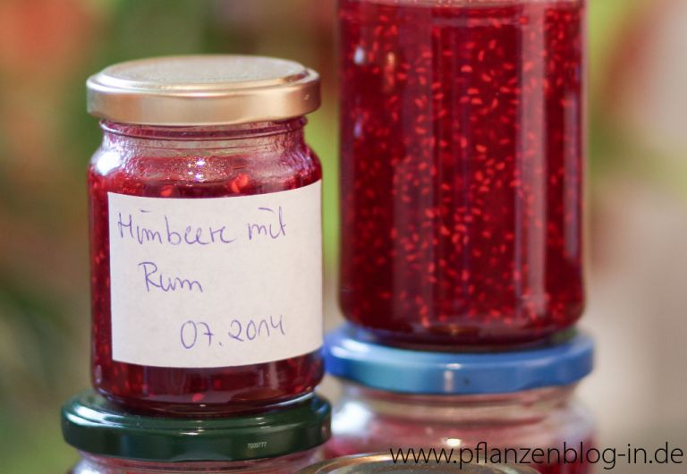 Himbeer-Marmelade mit Rum » Majas Pflanzenblog