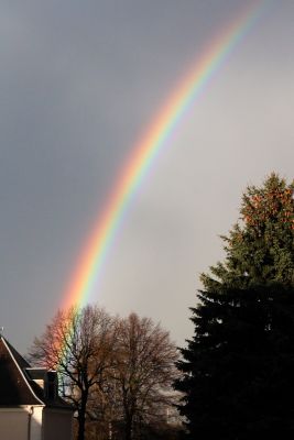 Regenbogen im April